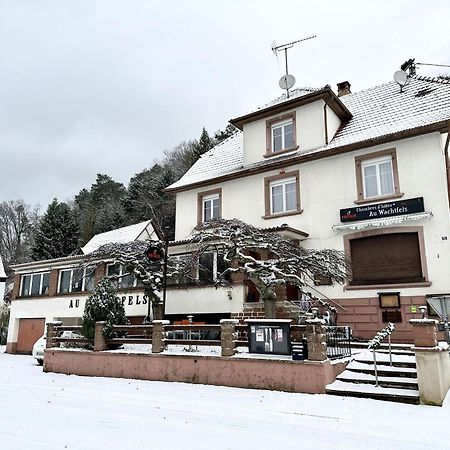 Au Wachtfels Bed & Breakfast Obersteinbach Luaran gambar