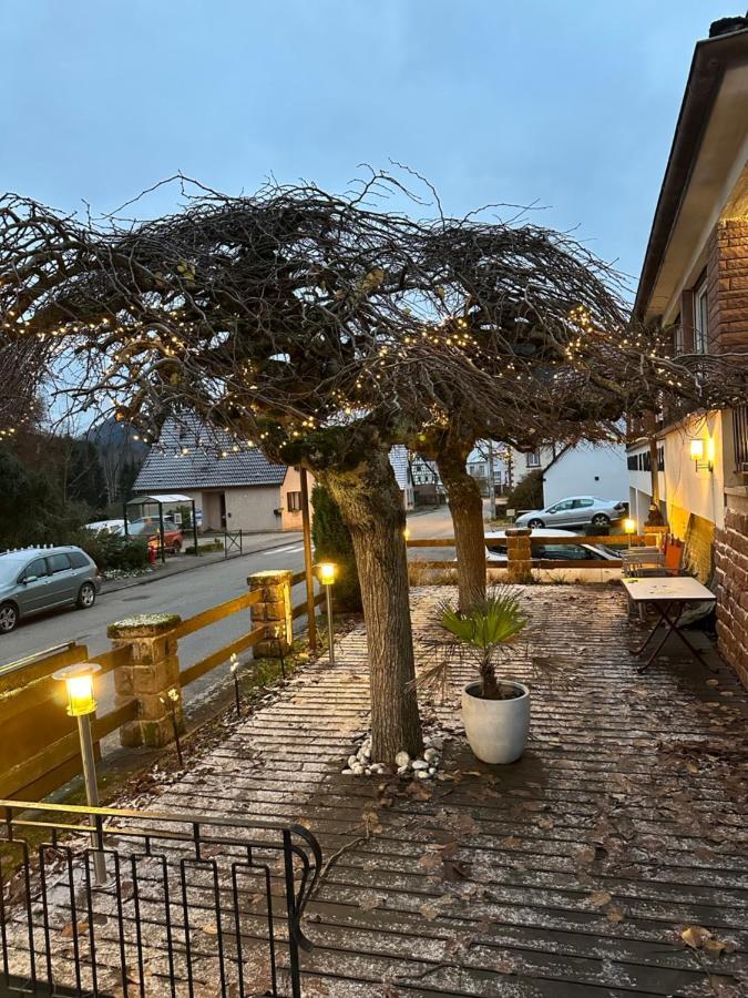 Au Wachtfels Bed & Breakfast Obersteinbach Luaran gambar